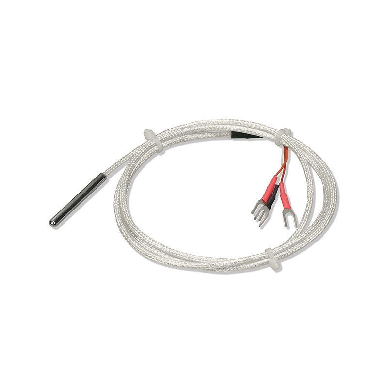不锈钢探头型PT100 RTD温度传感器